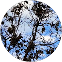 Krish Kumar profile picture